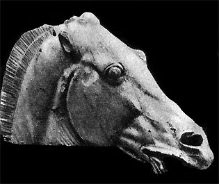 78. Восточный фронтон Парфенона. Лошадь Нюкс. V в. до н. э. Мрамор. Лондон. Британский музей.